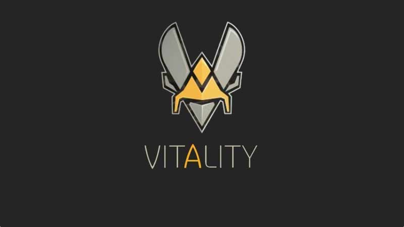 Team Vitality — Ninjas in Pyjamas: прогноз на матч 22 апреля 2020 Team Vitality — Ninjas in Pyjamas: прогноз на матч 22 апреля 2020