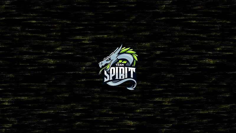 Team Spirit - Ninjas in Pyjamas: прогноз на матч 18 мая 2020